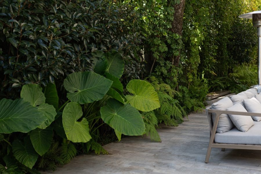 Copia de Monte Caucaso_AngelicaIbarra-10