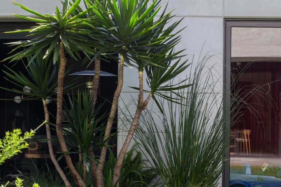 Copia de Monte Caucaso_AngelicaIbarra-7