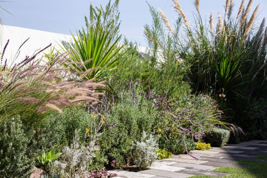 Copia de Prado Largo_AngelicaIbarra-4